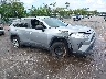 2T3H1RFV9LC****** Salvage and Wrecked 2020 Toyota RAV4 in West Palm Beach