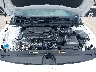 KMHLM4DG0TU****** Repairable 2026 Hyundai Elantra in Austin North