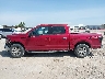 1FTEW1EGXFK****** Repairable 2015 Ford F-150 in Texas State