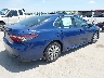 4T1C31AK0PU****** Salvamento y Destrozados 2023 Toyota Camry en Estado de Texas