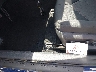 4T1C31AK0PU****** Salvamento y Reparables 2023 Toyota Camry en Estado de Texas