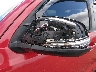 3TMCZ5AN8NM****** Salvamento y Reparables 2022 Toyota Tacoma en Eugene