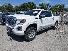 1GTU9FEL8LZ****** Used and Repairable 2020 GMC Sierra 1500 in Charleston