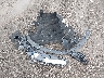 5TDKDRBH1PS****** Wrecked 2023 Toyota Highlander in New York State