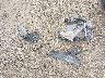 JYADM12Y5RA****** Wrecked 2024 Yamaha Tenere 700 in Wisconsin State