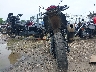 JYADM12Y5RA****** Salvage and Repairable 2024 Yamaha Tenere 700 in Wisconsin State