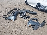KM8R4DGE5PU****** Used and Repairable 2023 Hyundai Palisade in Little Rock