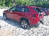 2T3P1RFV0PW****** Salvamento y Reparables 2023 Toyota RAV4 en Paducah