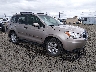 JF2SJAGC8GH****** Salvamento y Destrozados 2016 Subaru Forester en Eugene AUX Lot
