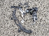 JM3KFBDM4M1****** Wrecked 2021 Mazda CX-5 in Oregon State