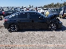 19XFL1H72PE****** Salvamento 2023 Honda Civic