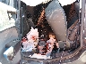 3FTCW8TA1SR****** Wrecked 2025 Ford Maverick in Las Vegas