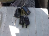 2GNALBEC8B1****** Salvage 2011 Chevrolet Equinox in California State