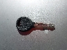 3HSDHSJR4CN****** Repairable 2012 International Prostar in Miami North