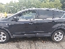 1FMCU0GX7EU****** Salvage 2014 Ford Escape