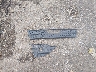 1FMCU0GX7EU****** Wrecked 2014 Ford Escape in Mississippi State
