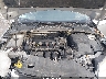 1FADP3K20EL****** Reparables 2014 Ford Focus en Chicago South