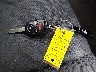 2HGFG3B57DH****** Salvamento 2013 Honda Civic en Estado de Illinois
