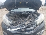 3CZRM3H54GG****** Repairable 2016 Honda CR-V in Little Rock