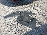 JTHBK1EG8B2****** Salvamento 2011 Lexus ES en Estado de Kentucky
