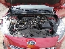 1FMCU9J91MU****** Reparables 2021 Ford Escape en Billings