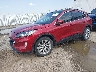 1FMCU9J91MU****** Usados y Reparables 2021 Ford Escape en Billings