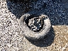 3GTU9CED4MG****** Wrecked 2021 GMC Sierra 1500 in West Virginia State