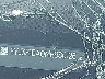 5YJ3E1EA0MF****** Salvage and Wrecked 2021 Tesla Model 3 in Dallas