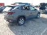 5NMJACDE0RH****** Salvamento y Destrozados 2024 Hyundai Tucson en Estado de Nebraska