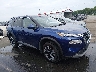 5N1BT3BA8PC****** Salvamento y Destrozados 2023 Nissan Rogue en Raleigh