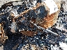1FTFW1E55MF****** Salvage 2021 Ford F-150 in Little Rock