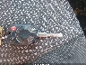 NM0LS7E72F1****** Salvamento 2015 Ford Transit Connect en Estado de Georgia