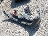 1FADP5AU8FL****** Wrecked 2015 Ford C-Max Hybrid in Ohio State