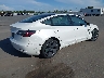 5YJ3E1EA2PF****** Salvamento y Destrozados 2023 Tesla Model 3 en Estado de Florida