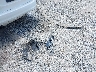 3VWPL7AJ3CM****** Wrecked 2012 Volkswagen Jetta Sportwagen in Ohio State