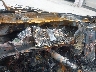4S4BTGLD3R3****** Salvamento 2024 Subaru Outback en Newburgh