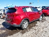 KNDPM3AC7K7****** Salvage and Wrecked 2019 Kia Sportage in New Mexico State