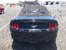 1FATP8UH3M5****** Usados 2021 Ford Mustang