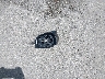3MZBN1U72JM****** Wrecked 2018 Mazda 3 in Texas State