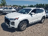 5NMS2CAD7LH****** Salvamento y Reparables 2020 Hyundai Santa Fe en Estado de Nueva York