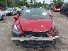 5YJ3E1EA6PF****** Destrozados 2023 Tesla Model 3 en Estado de Florida