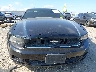 1ZVBP8AM4E5****** Destrozados 2014 Ford Mustang en Estado de Texas