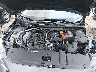 3N1AB8DV9PY****** Reparables 2023 Nissan Sentra en Buckhannon