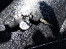 5TFUW5F1XEX****** Salvamento 2014 Toyota Tundra en Estado de Colorado