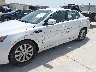 5XXGN4A76FG****** Salvamento y Reparables 2015 Kia Optima en Estado de Texas