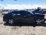 5XXGT4L34KG****** Repairable 2019 Kia Optima in New Mexico State