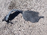 5XXGT4L34KG****** Wrecked 2019 Kia Optima in New Mexico State