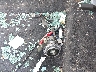 5NPD84LF1KH****** Wrecked 2019 Hyundai Elantra in Colorado State