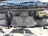 1GCPWCED8KZ****** Repairable 2019 Chevrolet Silverado 1500 in Tampa North