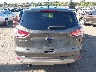1FMCU0G74FU****** Destrozados 2015 Ford Escape